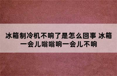 冰箱制冷机不响了是怎么回事 冰箱一会儿嗡嗡响一会儿不响